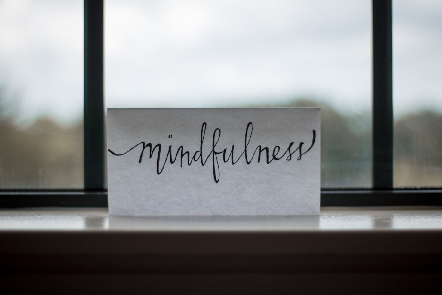 Erfolgsgeschichten: Wie Happy Mind Journey Leben verändert