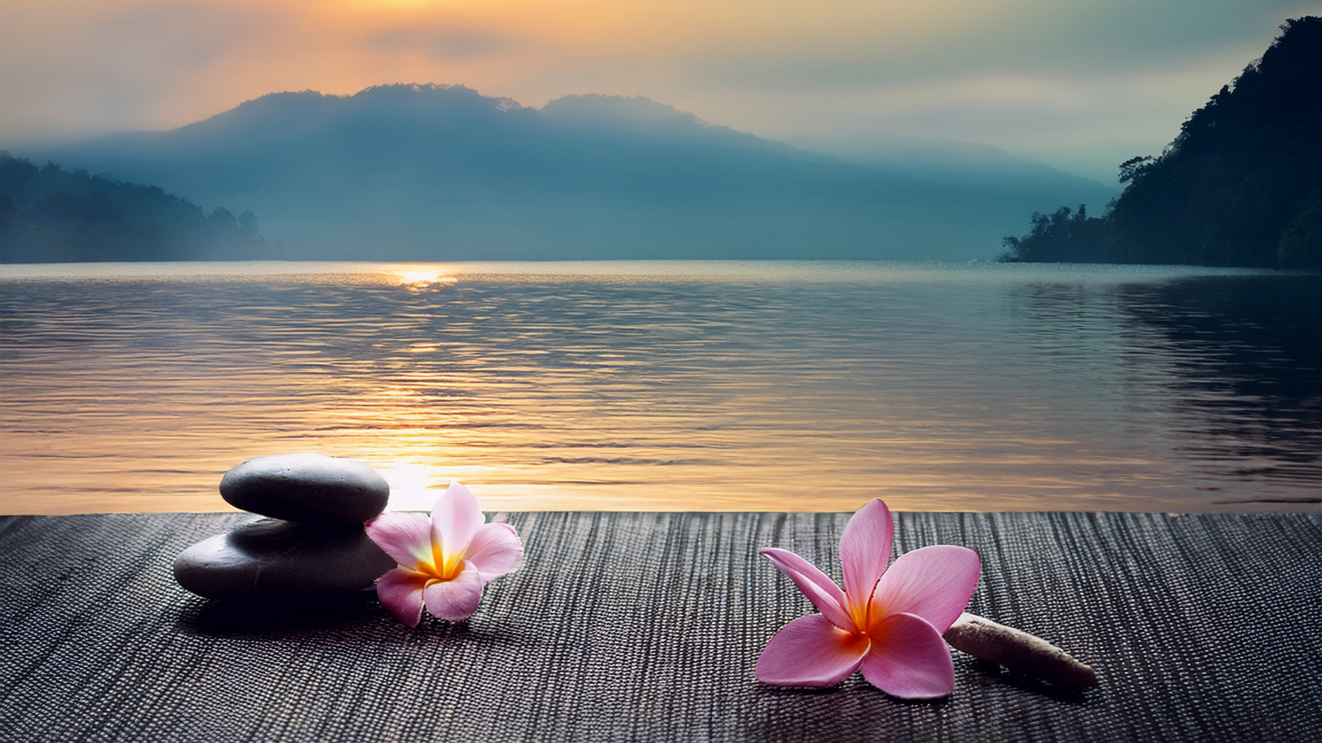 Rosa Blumen liegen auf einem Steg am See